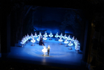 Návštěva představení baletu ve Státní opeře